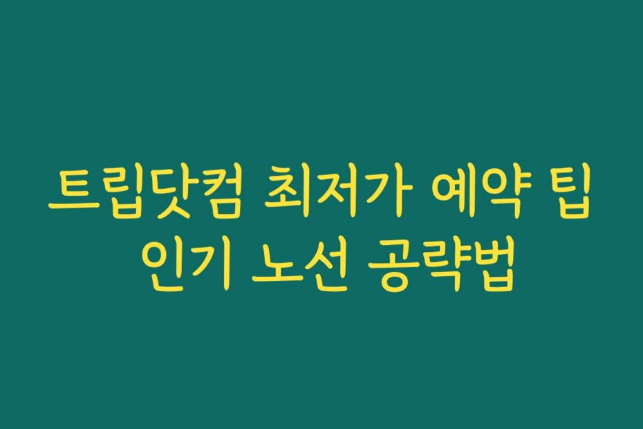 트립닷컴 최저가 예약 팁 인기 노선 공략법