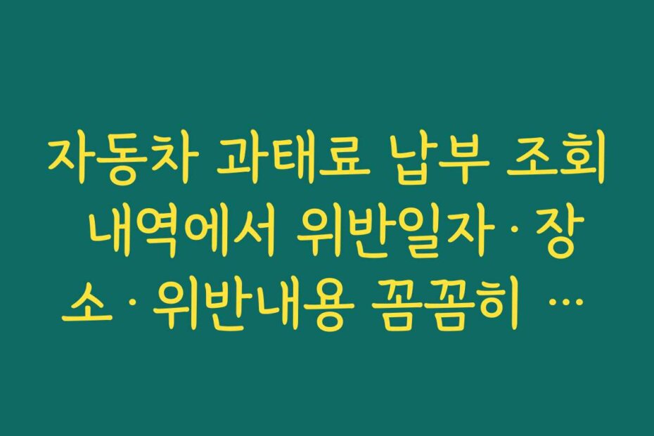 자동차 과태료 납부 조회 내역에서 위반일자·장소·위반내용 꼼꼼히 확인해야 하는 이유