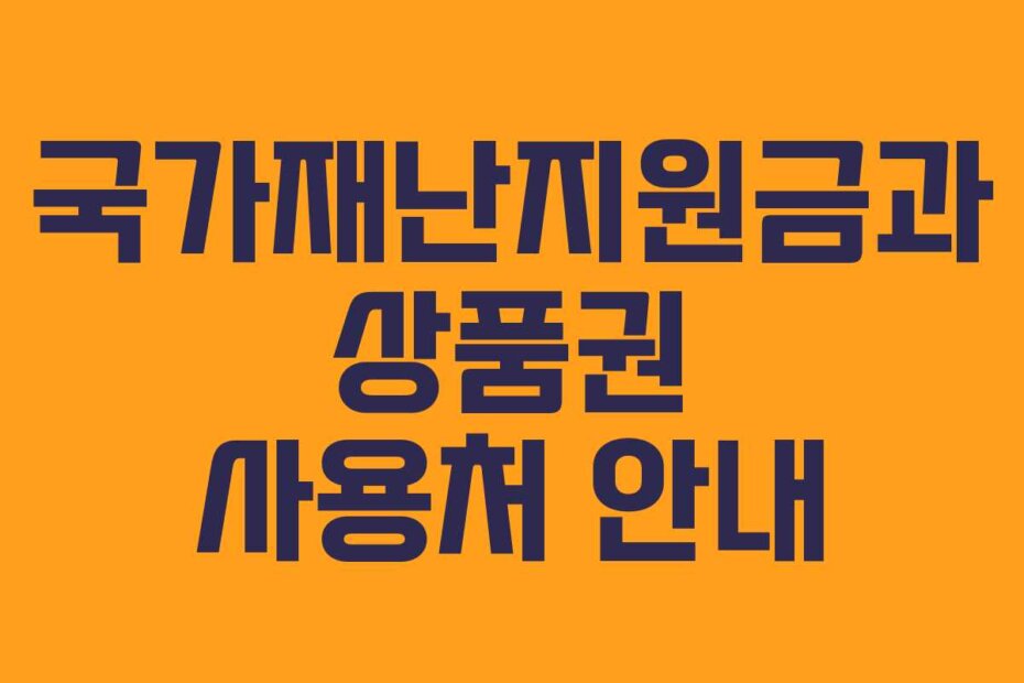 국가재난지원금과 상품권 사용처 안내
