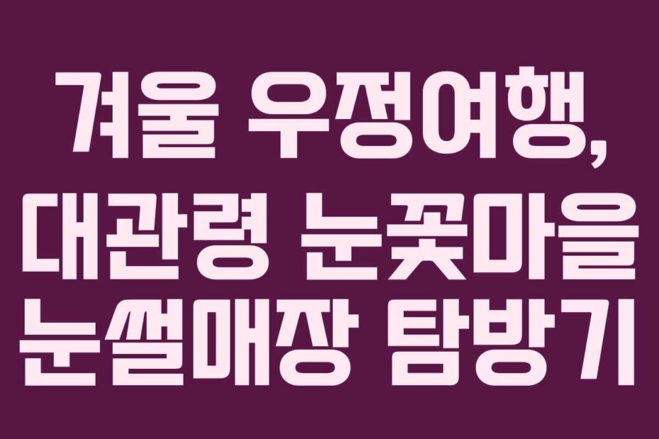 겨울 우정여행, 대관령 눈꽃마을 눈썰매장 탐방기