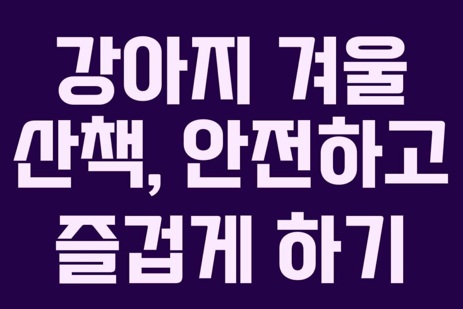 강아지 겨울 산책, 안전하고 즐겁게 하기