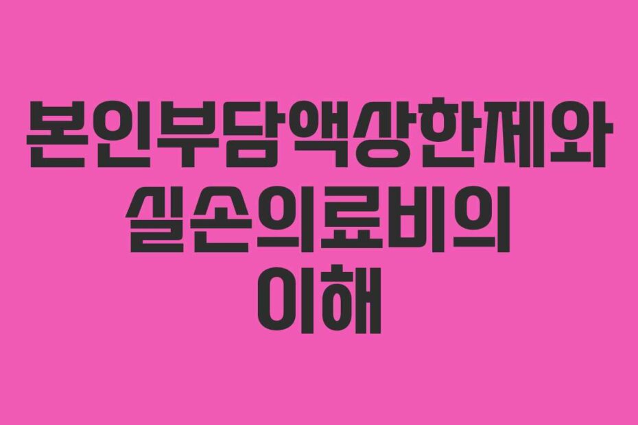 본인부담액상한제와 실손의료비의 이해