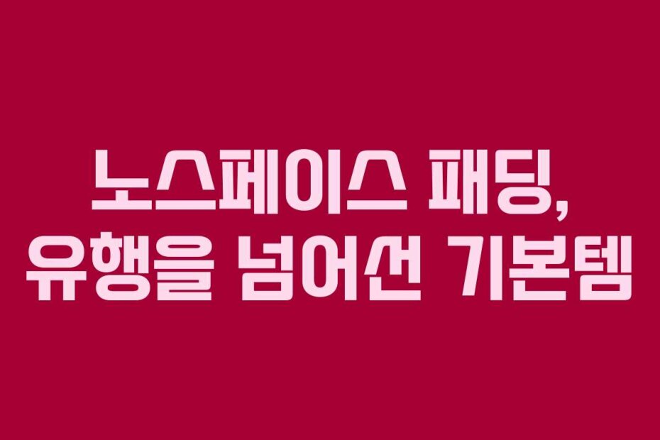 노스페이스 패딩, 유행을 넘어선 기본템