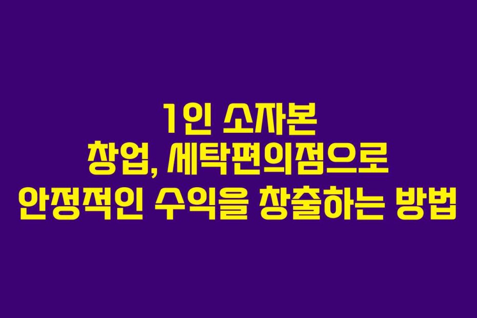 1인 소자본 창업, 세탁편의점으로 안정적인 수익을 창출하는 방법