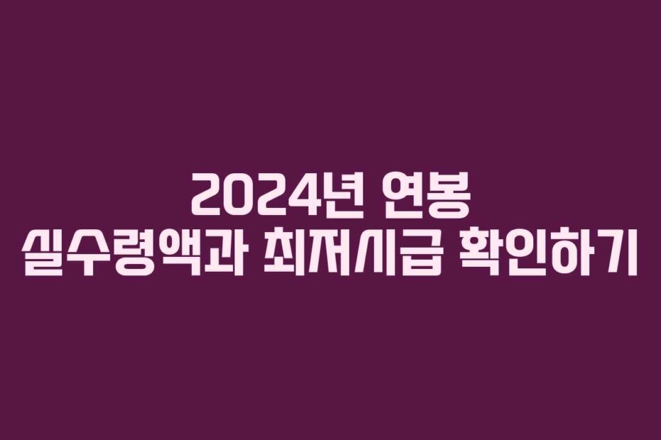 2024년 연봉 실수령액과 최저시급 확인하기