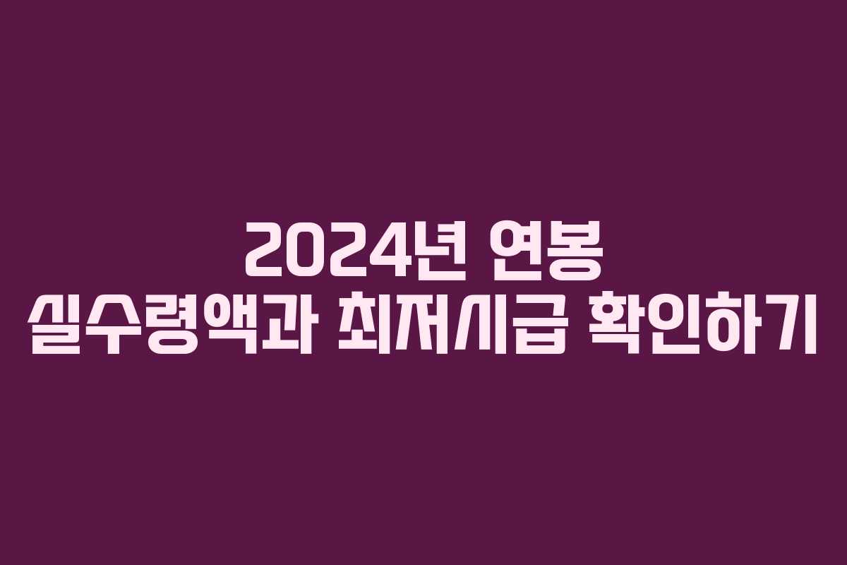 2024년 연봉 실수령액과 최저시급 확인하기