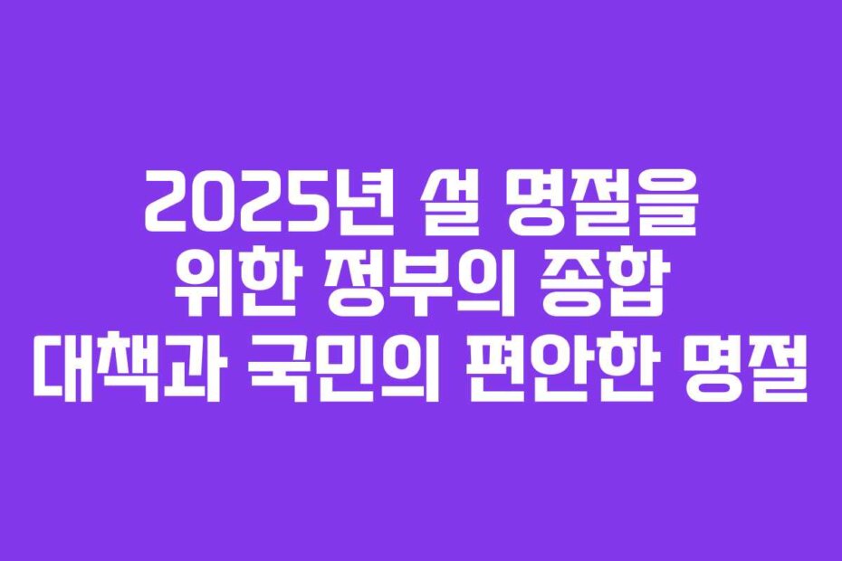 2025년 설 명절을 위한 정부의 종합 대책과 국민의 편안한 명절