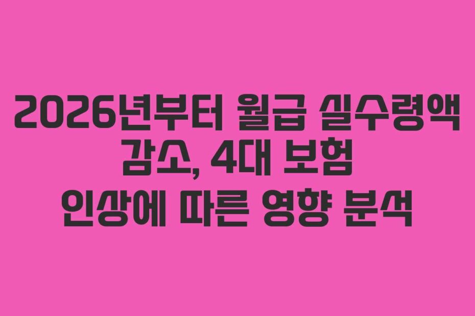2026년부터 월급 실수령액 감소, 4대 보험 인상에 따른 영향 분석