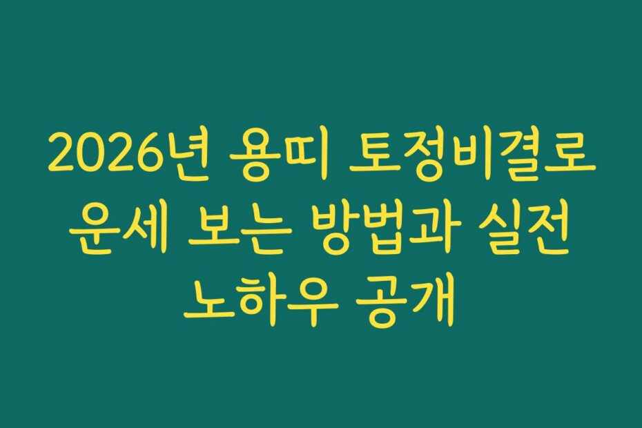 2026년 용띠 토정비결로 운세 보는 방법과 실전 노하우 공개