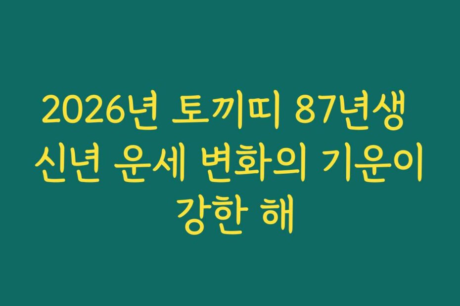 2026년 토끼띠 87년생 신년 운세 변화의 기운이 강한 해