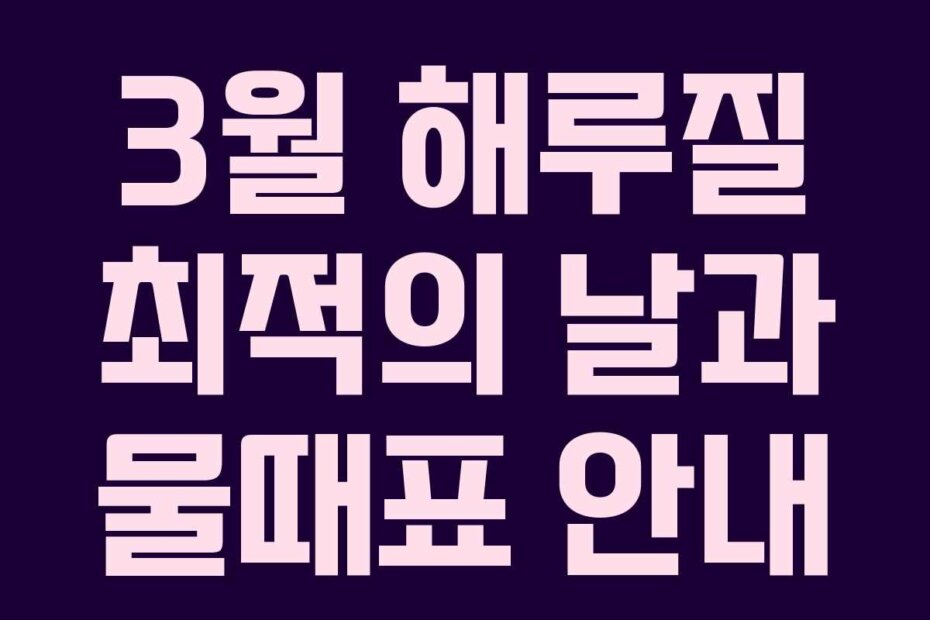 3월 해루질 최적의 날과 물때표 안내