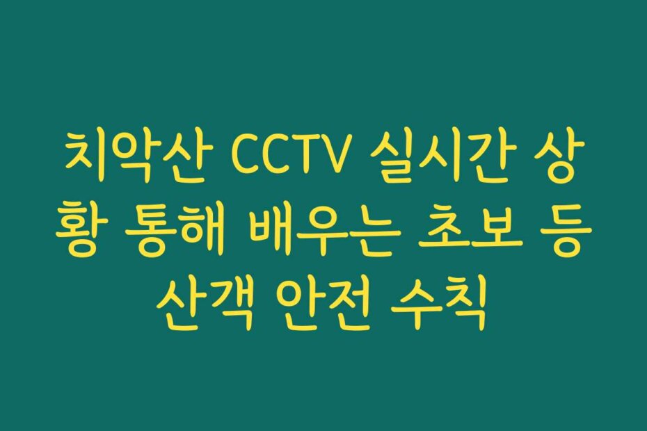 치악산 CCTV 실시간 상황 통해 배우는 초보 등산객 안전 수칙