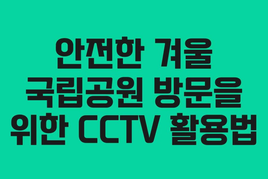 안전한 겨울 국립공원 방문을 위한 CCTV 활용법