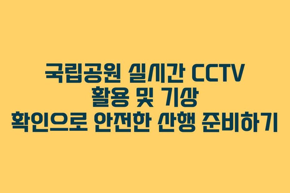 국립공원 실시간 CCTV 활용 및 기상 확인으로 안전한 산행 준비하기