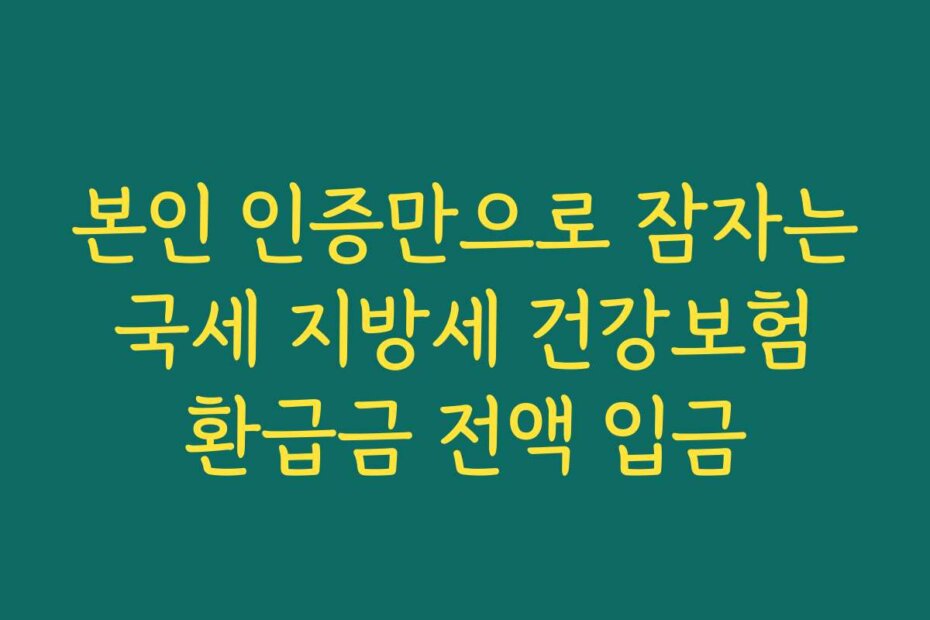 본인 인증만으로 잠자는 국세 지방세 건강보험 환급금 전액 입금