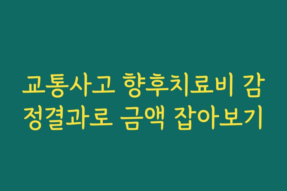 교통사고 향후치료비 감정결과로 금액 잡아보기