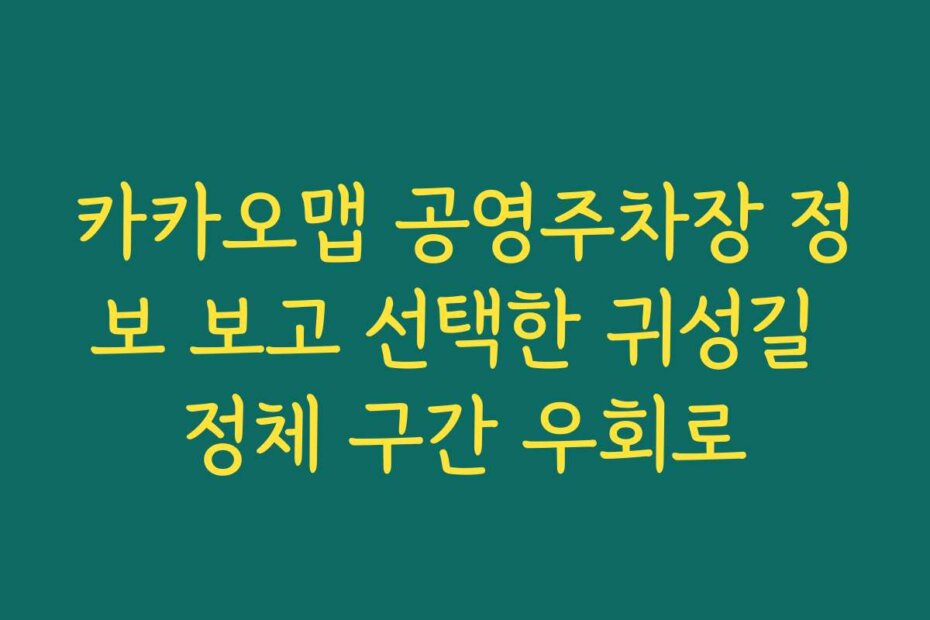 카카오맵 공영주차장 정보 보고 선택한 귀성길 정체 구간 우회로