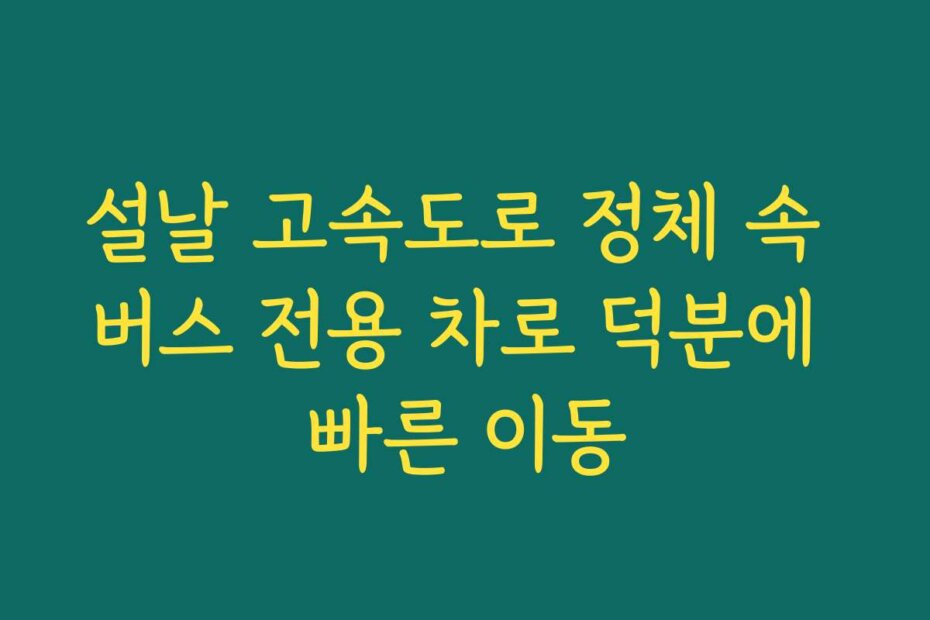 설날 고속도로 정체 속 버스 전용 차로 덕분에 빠른 이동