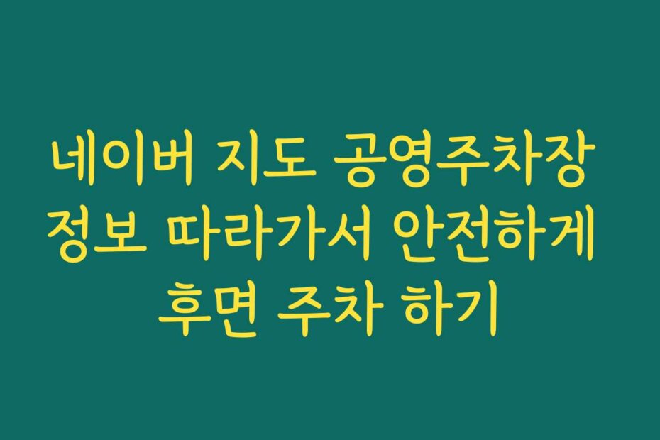 네이버 지도 공영주차장 정보 따라가서 안전하게 후면 주차 하기