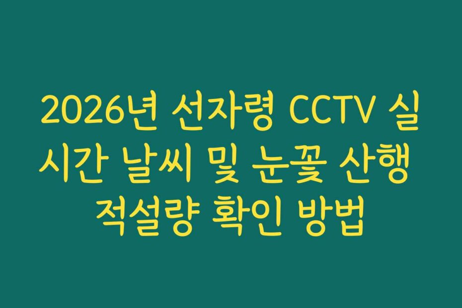 2026년 선자령 CCTV 실시간 날씨 및 눈꽃 산행 적설량 확인 방법