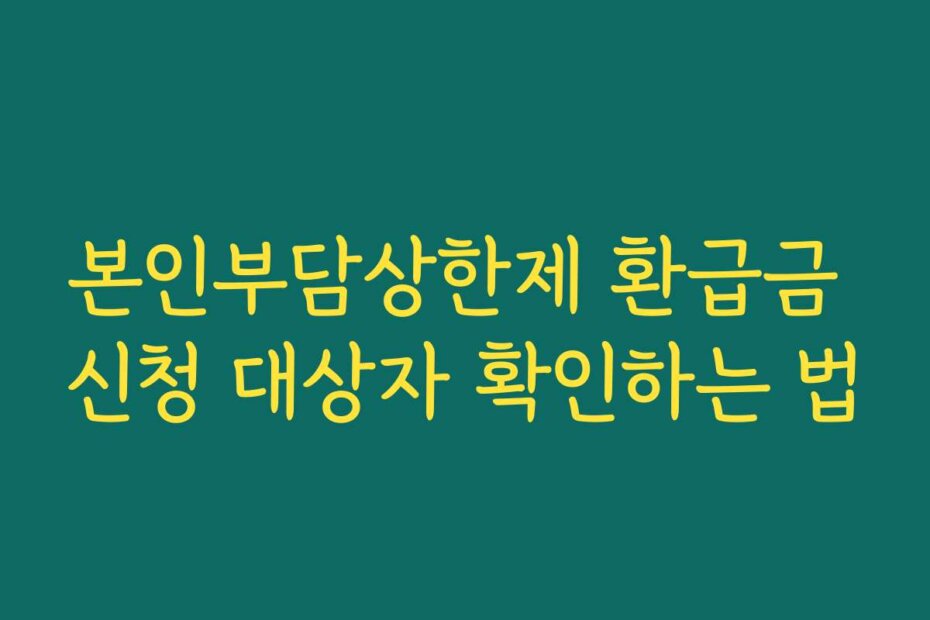 본인부담상한제 환급금 신청 대상자 확인하는 법