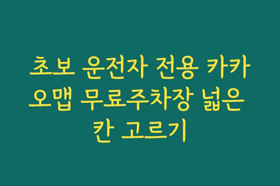 초보 운전자 전용 카카오맵 무료주차장 넓은 칸 고르기