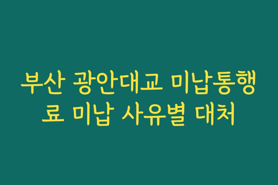 부산 광안대교 미납통행료 미납 사유별 대처