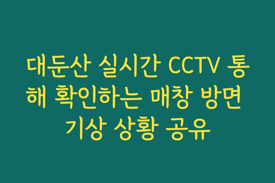 대둔산 실시간 CCTV 통해 확인하는 매창 방면 기상 상황 공유