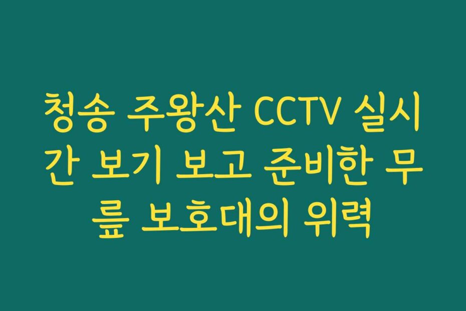 청송 주왕산 CCTV 실시간 보기 보고 준비한 무릎 보호대의 위력