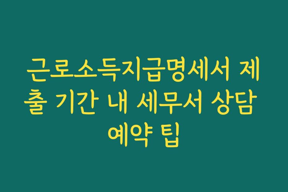 근로소득지급명세서 제출 기간 내 세무서 상담 예약 팁