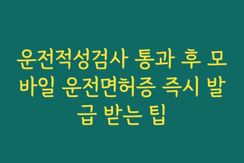 운전적성검사 통과 후 모바일 운전면허증 즉시 발급 받는 팁