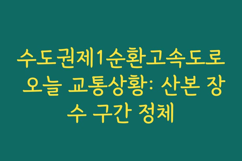 수도권제1순환고속도로 오늘 교통상황: 산본 장수 구간 정체