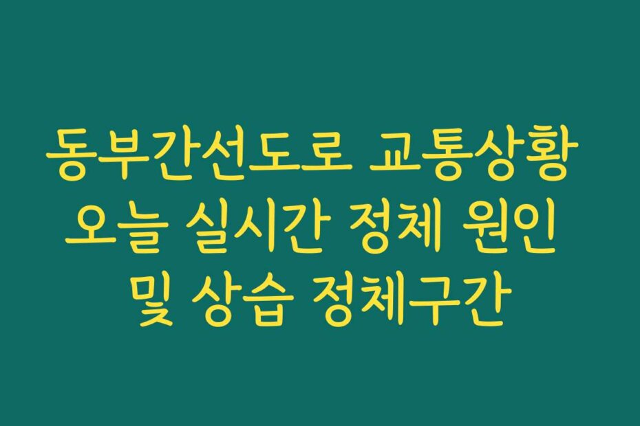 동부간선도로 교통상황 오늘 실시간 정체 원인 및 상습 정체구간 동부간선도로 교통상황 오늘 실시간 정체 원인 및 상습 정체구간