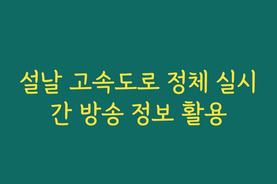 설날 고속도로 정체 실시간 방송 정보 활용