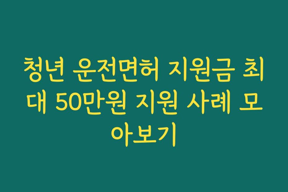 청년 운전면허 지원금 최대 50만원 지원 사례 모아보기