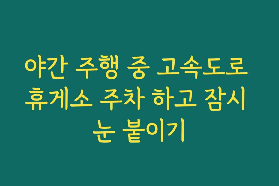 야간 주행 중 고속도로 휴게소 주차 하고 잠시 눈 붙이기