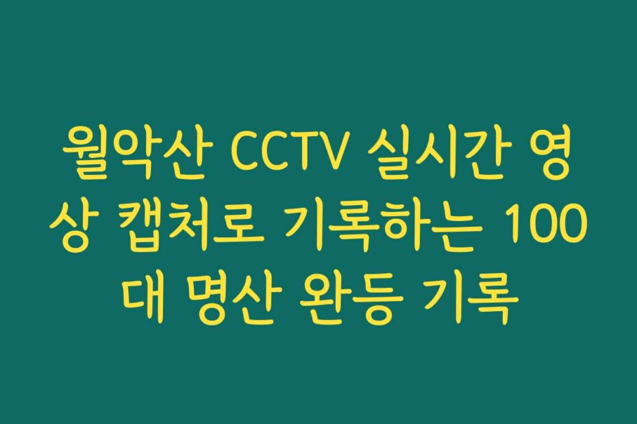 월악산 CCTV 실시간 영상 캡처로 기록하는 100대 명산 완등 기록