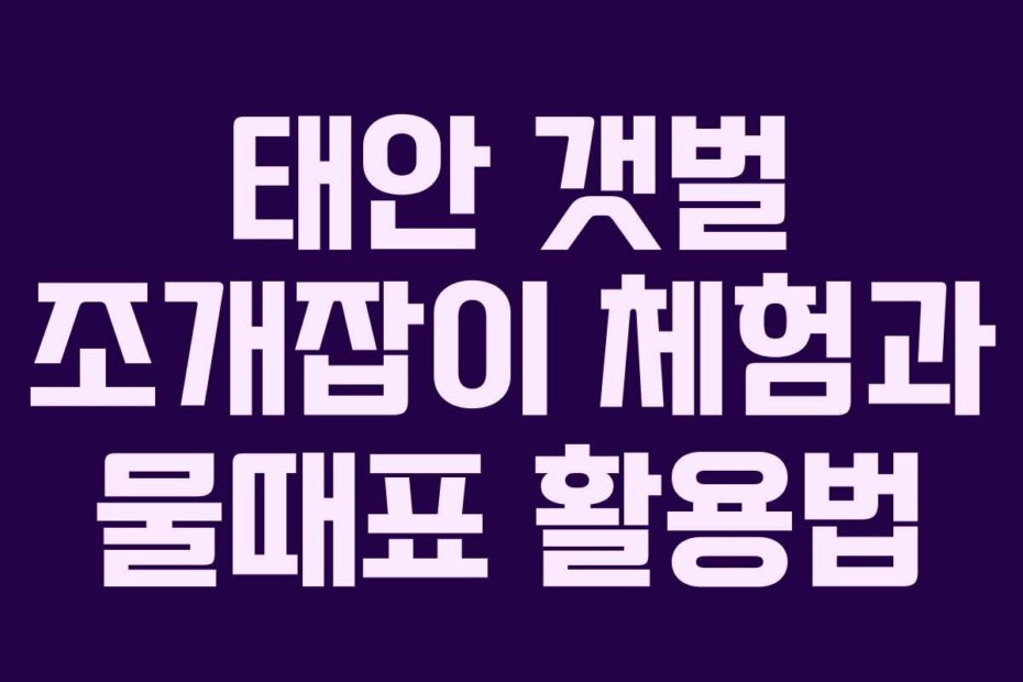 태안 갯벌 조개잡이 체험과 물때표 활용법