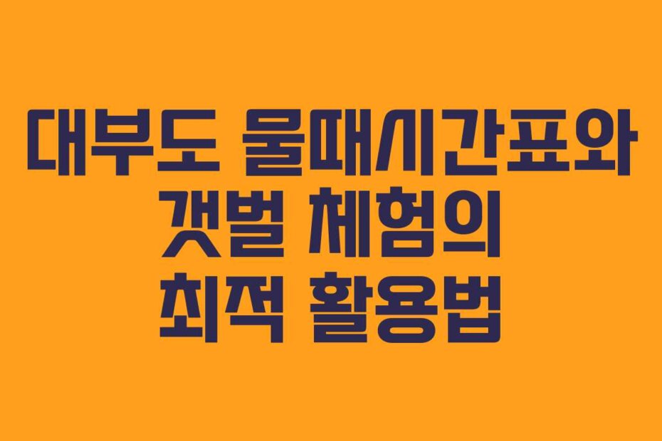 대부도 물때시간표와 갯벌 체험의 최적 활용법