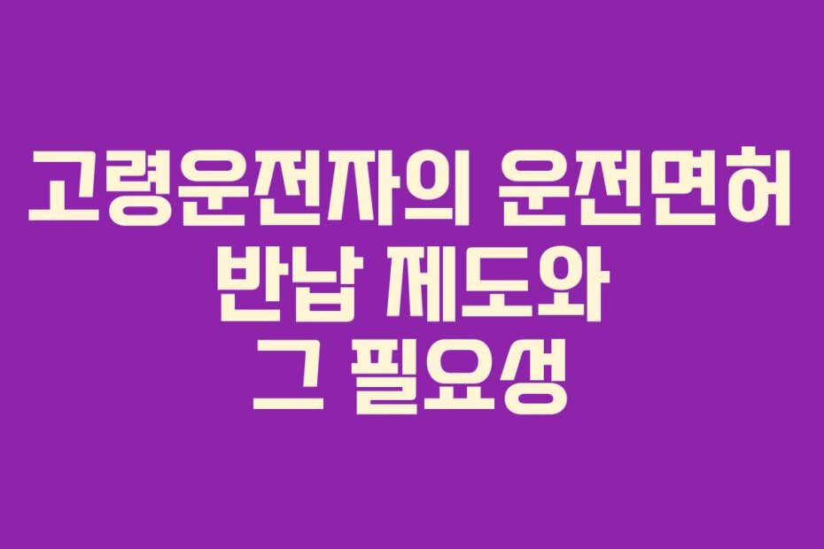 고령운전자의 운전면허 반납 제도와 그 필요성