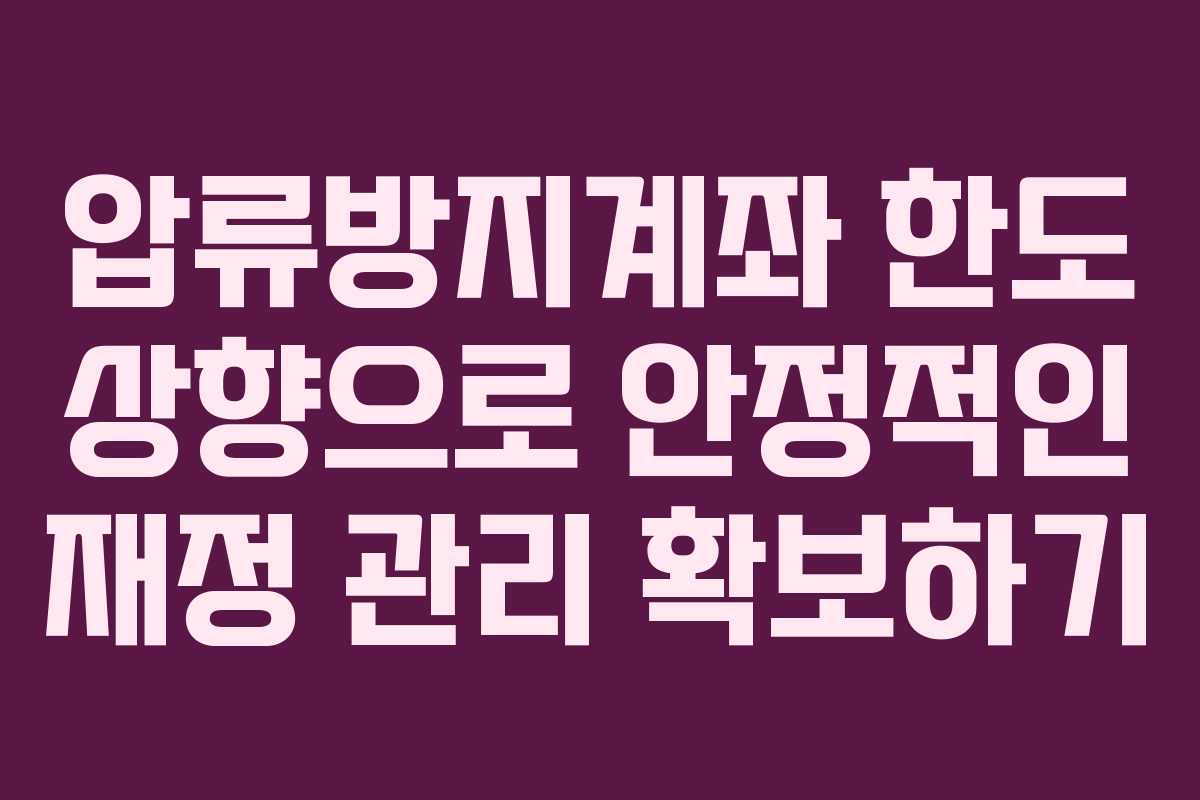 압류방지계좌 한도 상향으로 안정적인 재정 관리 확보하기