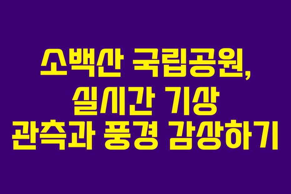 소백산 국립공원, 실시간 기상 관측과 풍경 감상하기