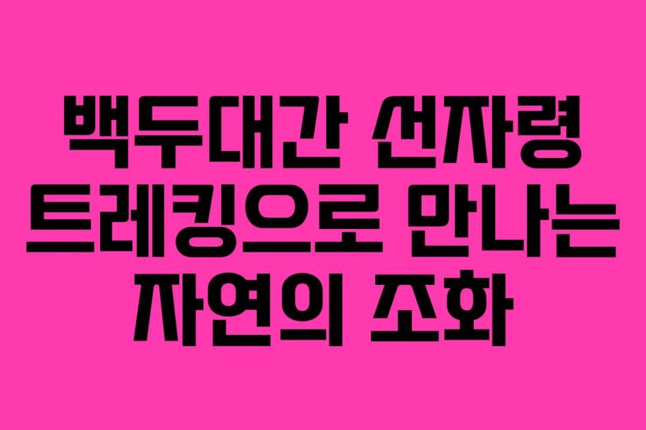 백두대간 선자령 트레킹으로 만나는 자연의 조화