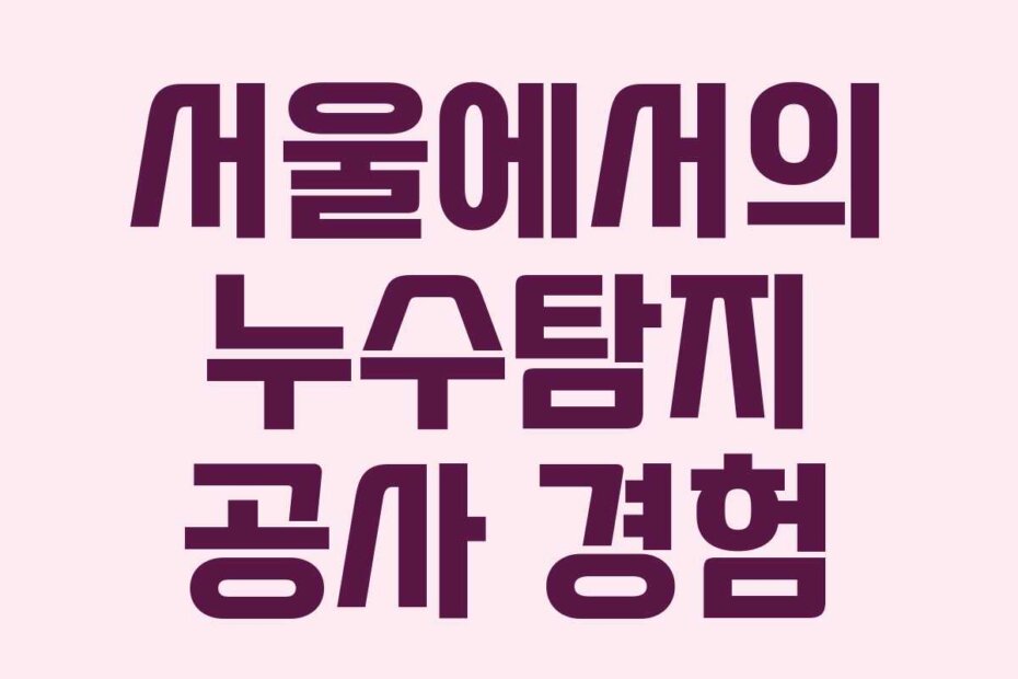 서울에서의 누수탐지 공사 경험