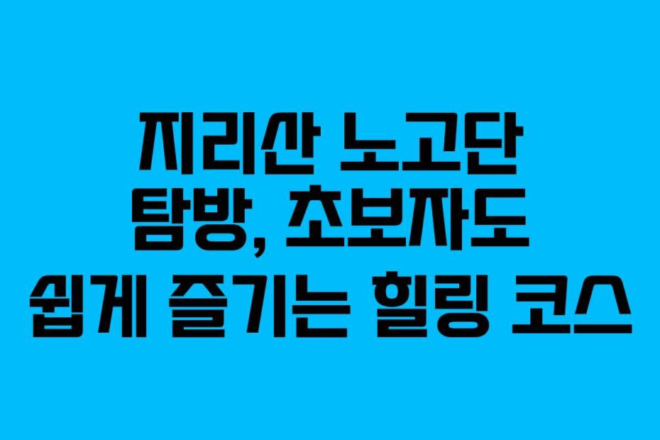 지리산 노고단 탐방, 초보자도 쉽게 즐기는 힐링 코스