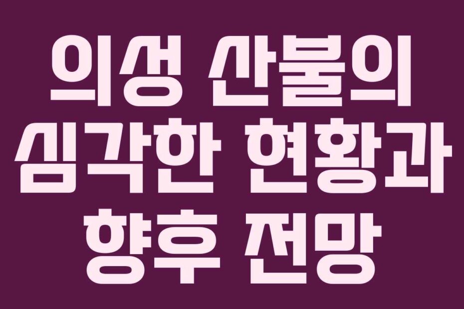 의성 산불의 심각한 현황과 향후 전망