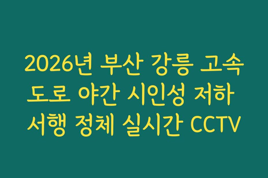 2026년 부산 강릉 고속도로 야간 시인성 저하 서행 정체 실시간 CCTV