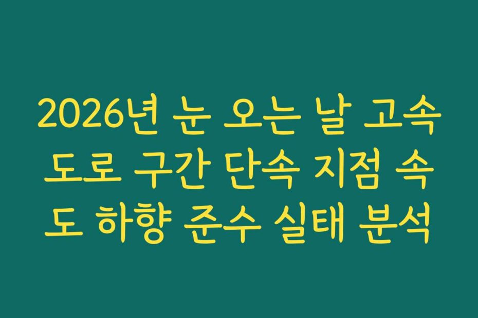 2026년 눈 오는 날 고속도로 구간 단속 지점 속도 하향 준수 실태 분석