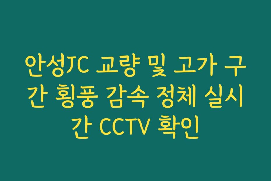 안성JC 교량 및 고가 구간 횡풍 감속 정체 실시간 CCTV 확인