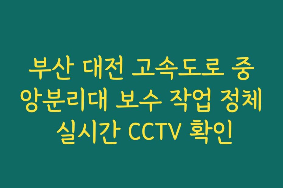 부산 대전 고속도로 중앙분리대 보수 작업 정체 실시간 CCTV 확인